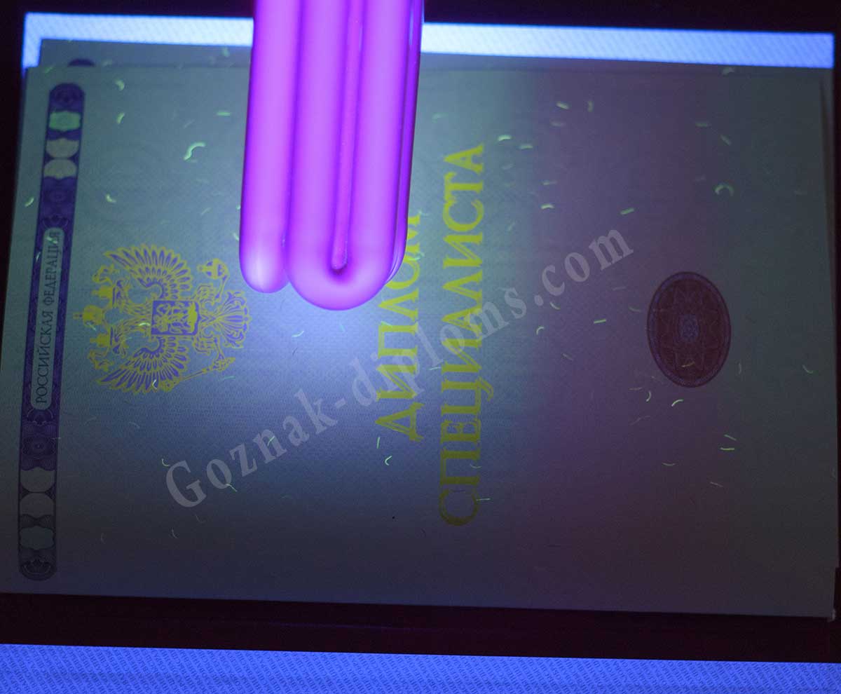 Диплом специалиста с ОТЛИЧИЕМ 2014-2026